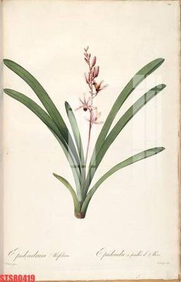 File in mica Tranh sơn dầu phương tây tổng hợp STS80419 (bản gốc) sắc sảo