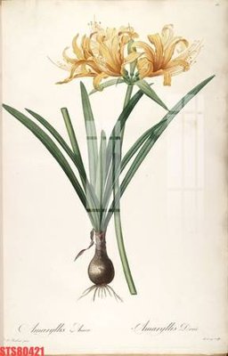 Tệp tin gốc Tranh sơn dầu phương tây tổng hợp STS80421 (chất lượng) Tranh sơn dầu phương tây tổng hợp STS80421