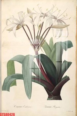 File tranh Tranh sơn dầu phương tây tổng hợp STS80428 (ảnh gốc) in trần 3D