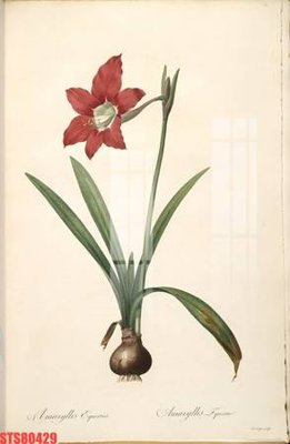 File tranh Tranh sơn dầu phương tây tổng hợp STS80429 (ảnh gốc) in trần nhà