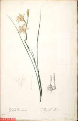 Tải file PSD Tranh sơn dầu phương tây tổng hợp STS80430 (nguyên layer) để in