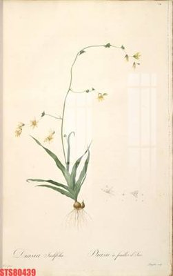 File ảnh gốc Tranh sơn dầu phương tây tổng hợp STS80439 không vỡ nét