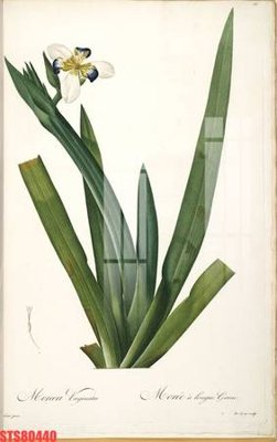 Tệp tin gốc Tranh sơn dầu phương tây tổng hợp STS80440 (dùng cho in ấn) chuyên nghiệp