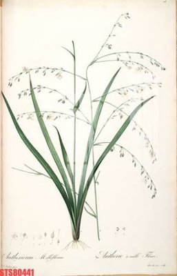 File gốc Tranh sơn dầu phương tây tổng hợp STS80441 (ảnh chi tiết) để in lụa