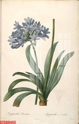 File ảnh Tranh sơn dầu phương tây tổng hợp STS80443 (gốc) in standee