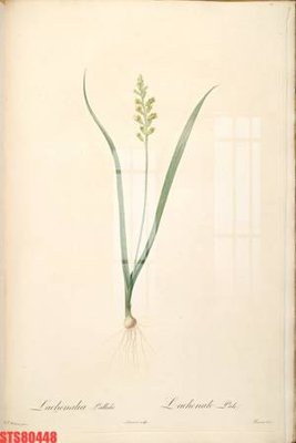 File tranh Tranh sơn dầu phương tây tổng hợp STS80448 (ảnh gốc) in trần xuyên sáng