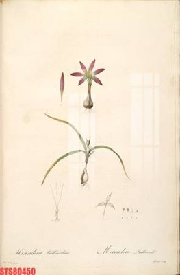 File in lụa Tranh sơn dầu phương tây tổng hợp STS80450 (tân cổ điển) Tranh sơn dầu phương tây tổng hợp STS80450