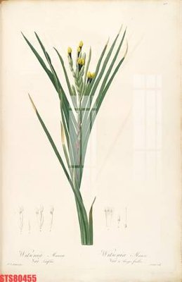 Download file gốc Tranh sơn dầu phương tây tổng hợp STS80455 (dùng cho in ấn)