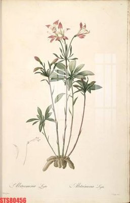 File gốc Tranh sơn dầu phương tây tổng hợp STS80456 (in lụa) hoa văn cổ điển