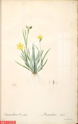 Hình ảnh file gốc Tranh sơn dầu phương tây tổng hợp STS80458 cho in UV