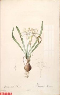 File PSD Tranh sơn dầu phương tây tổng hợp STS80465 (bản gốc) dễ dàng edit