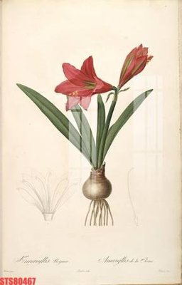 Ảnh gốc Tranh sơn dầu phương tây tổng hợp STS80467 (độ nét cao) in tráng gương