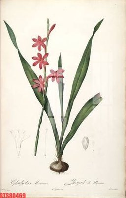 File ảnh Tranh sơn dầu phương tây tổng hợp STS80469 (gốc) cho trang trí nội thất