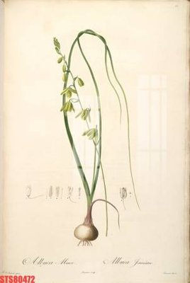 File gốc in ấn Tranh sơn dầu phương tây tổng hợp STS80472 chất lượng vượt trội