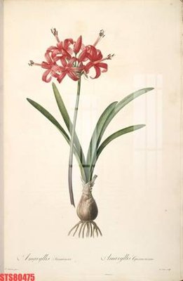 Mua file ảnh gốc Tranh sơn dầu phương tây tổng hợp STS80475 (chất lượng cao)