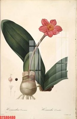 File tranh Tranh sơn dầu phương tây tổng hợp STS80480 (gốc) in backlit film