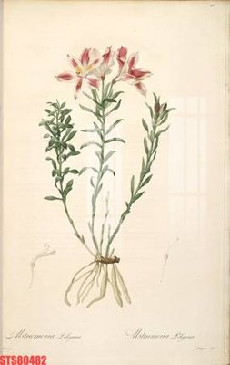 File gốc Tranh sơn dầu phương tây tổng hợp STS80482 (cho in ấn) từ Filetranh.com