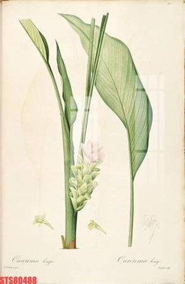 File in trần Tranh sơn dầu phương tây tổng hợp STS80488 (bản gốc) hoa văn