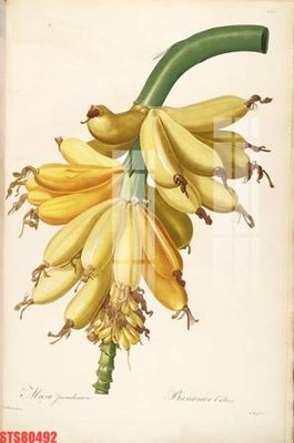 Ảnh gốc Tranh sơn dầu phương tây tổng hợp STS80492 (siêu chi tiết) để in ấn