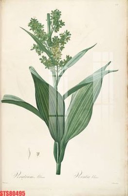 File tranh in mica Tranh sơn dầu phương tây tổng hợp STS80495 (độ phân giải cao)