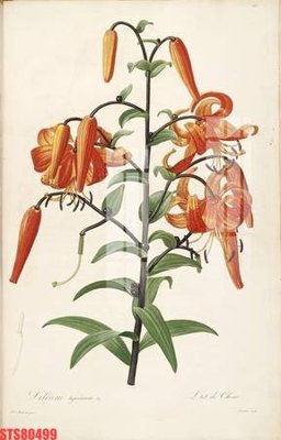 Tải file gốc Tranh sơn dầu phương tây tổng hợp STS80499 (bản PSD) đầy đủ layer