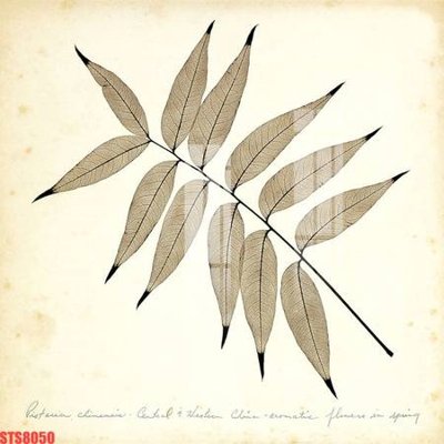 File gốc Tranh sơn dầu phương tây tổng hợp STS8050 (chủ đề hiện đại) trang trí