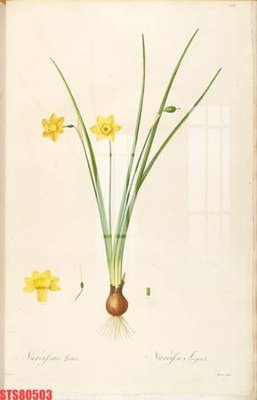 File in ấn cao cấp Tranh sơn dầu phương tây tổng hợp STS80503 (file gốc)