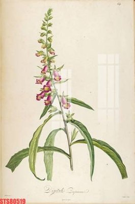 Tải file gốc Tranh sơn dầu phương tây tổng hợp STS80519 (in tráng gương) siêu đẹpFile tranh gốc Tranh sơn dầu phương tây tổng hợp STS80519 chất lượng cao