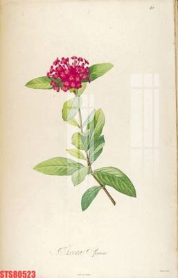 File gốc Tranh sơn dầu phương tây tổng hợp STS80523 (phong cách) cổ điển