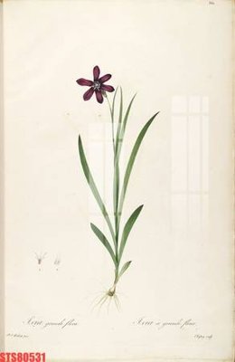 File ảnh Tranh sơn dầu phương tây tổng hợp STS80531 (gốc) cho trang trí nội thất