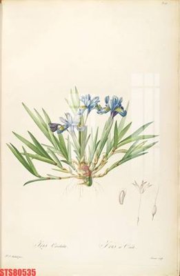 File PSD Tranh sơn dầu phương tây tổng hợp STS80535 (chất lượng in ấn)