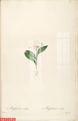 File gốc Tranh sơn dầu phương tây tổng hợp STS80539 (in 3D) cho trang trí