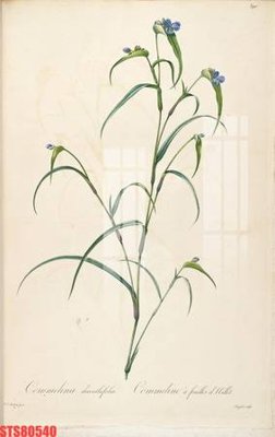 Tệp tin gốc Tranh sơn dầu phương tây tổng hợp STS80540 (chất lượng cao) Tranh sơn dầu phương tây tổng hợp STS80540