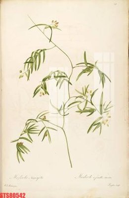 Download file Tranh sơn dầu phương tây tổng hợp STS80542 (gốc) cho xưởng in