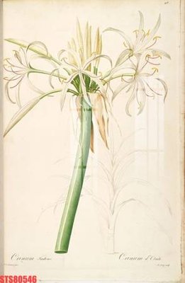 File tranh Tranh sơn dầu phương tây tổng hợp STS80546 (gốc) chủ đề thiên nhiên