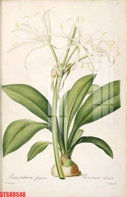 File tranh Tranh sơn dầu phương tây tổng hợp STS80548 (gốc) in backlit film