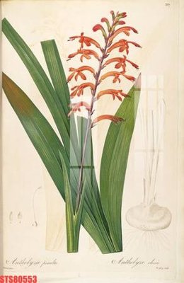 File tranh Tranh sơn dầu phương tây tổng hợp STS80553 (ảnh gốc) độ nét vượt trội