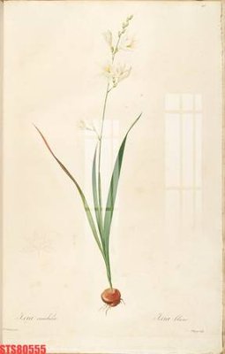 Tải file Tranh sơn dầu phương tây tổng hợp STS80555 (ảnh gốc) in gạch men