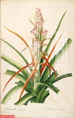 Tải file gốc Tranh sơn dầu phương tây tổng hợp STS80557 (để in lụa)