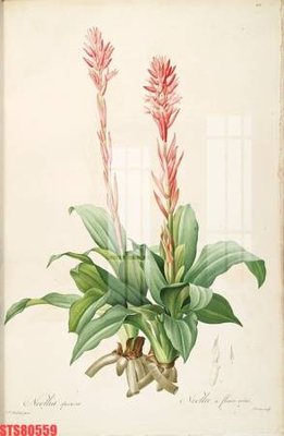 File gốc Tranh sơn dầu phương tây tổng hợp STS80559 (in lụa) họa tiết 3D