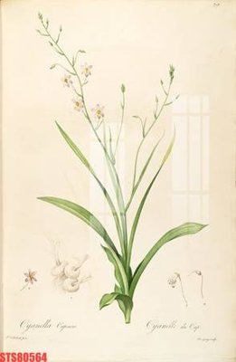 Cung cấp file tranh gốc Tranh sơn dầu phương tây tổng hợp STS80564 độc quyền