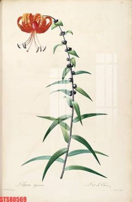 Tải file Tranh sơn dầu phương tây tổng hợp STS80569 (ảnh gốc) file AI/EPS