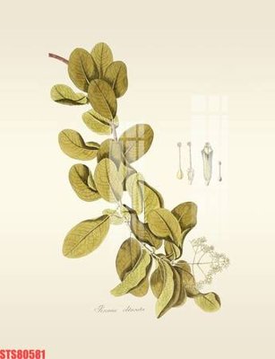 Tải file Tranh sơn dầu phương tây tổng hợp STS80581 (gốc) để in ấn ngay