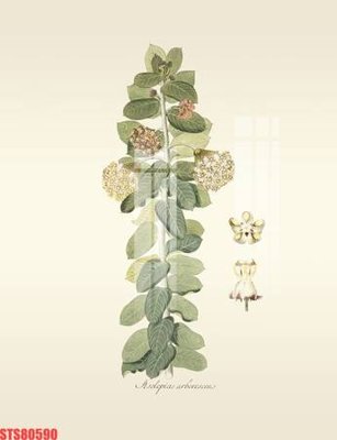 File tranh gốc Tranh sơn dầu phương tây tổng hợp STS80590 (bản quyền) file PSD