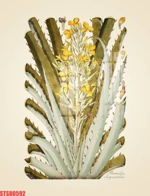 File PSD Tranh sơn dầu phương tây tổng hợp STS80592 (nguyên gốc) chất lượng cao