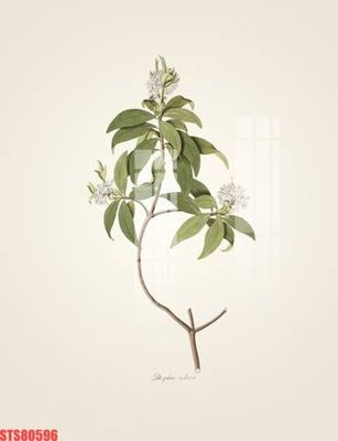 Tải file Tranh sơn dầu phương tây tổng hợp STS80596 (gốc) chủ đề tâm linh