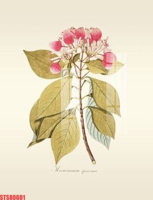 File gốc Tranh sơn dầu phương tây tổng hợp STS80601 (in 3D) cho trang trí