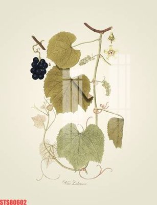 File tranh Tranh sơn dầu phương tây tổng hợp STS80602 (gốc) in backlit film