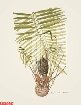 File in trần Tranh sơn dầu phương tây tổng hợp STS80607 (file gốc) hoa văn 3D