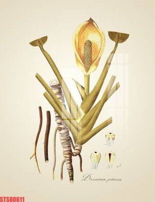 File tranh Tranh sơn dầu phương tây tổng hợp STS80611 (bản gốc) treo phòng ăn